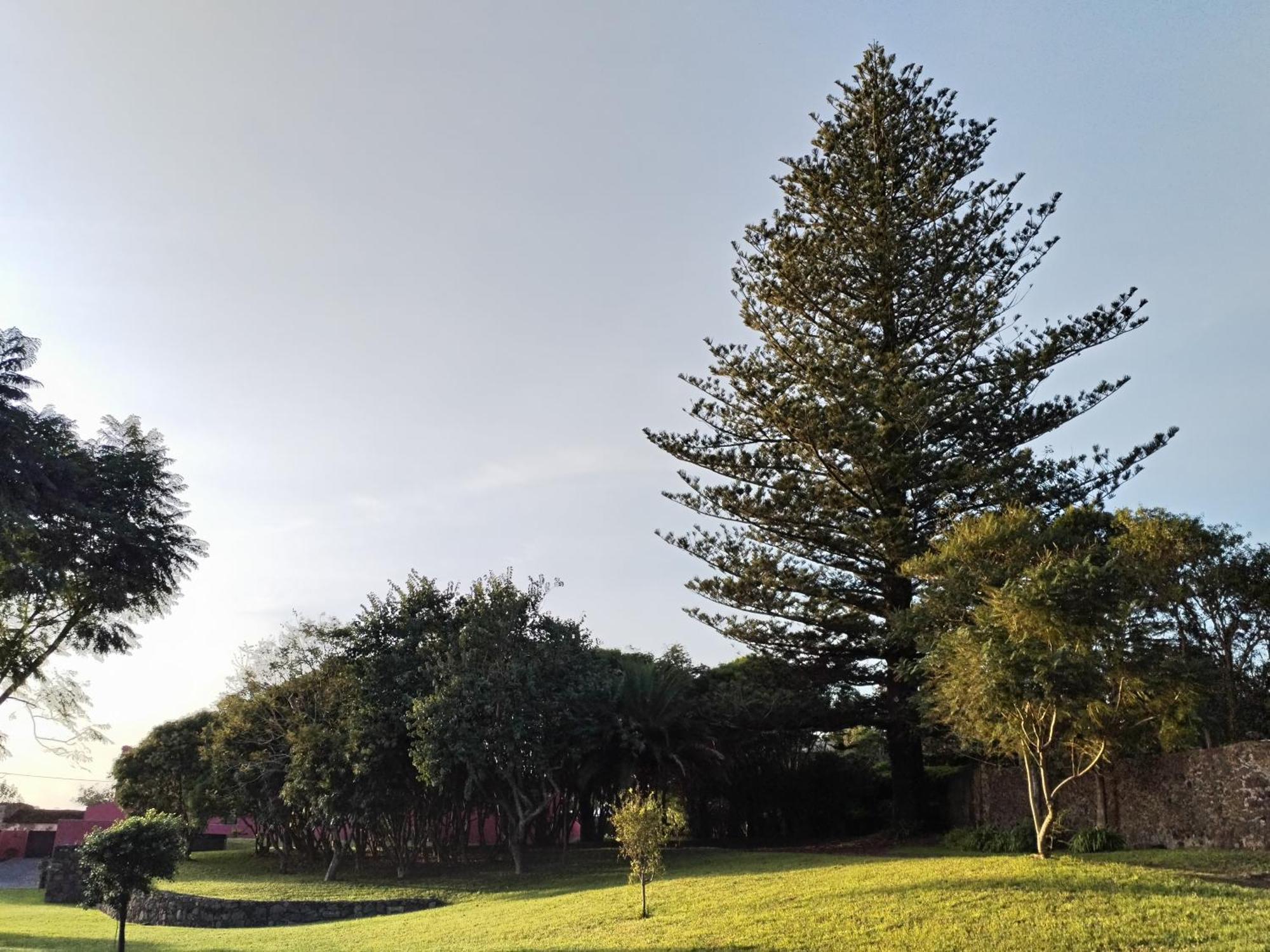 蓬塔德尔加达Quinta Da Casa Grande别墅 外观 照片